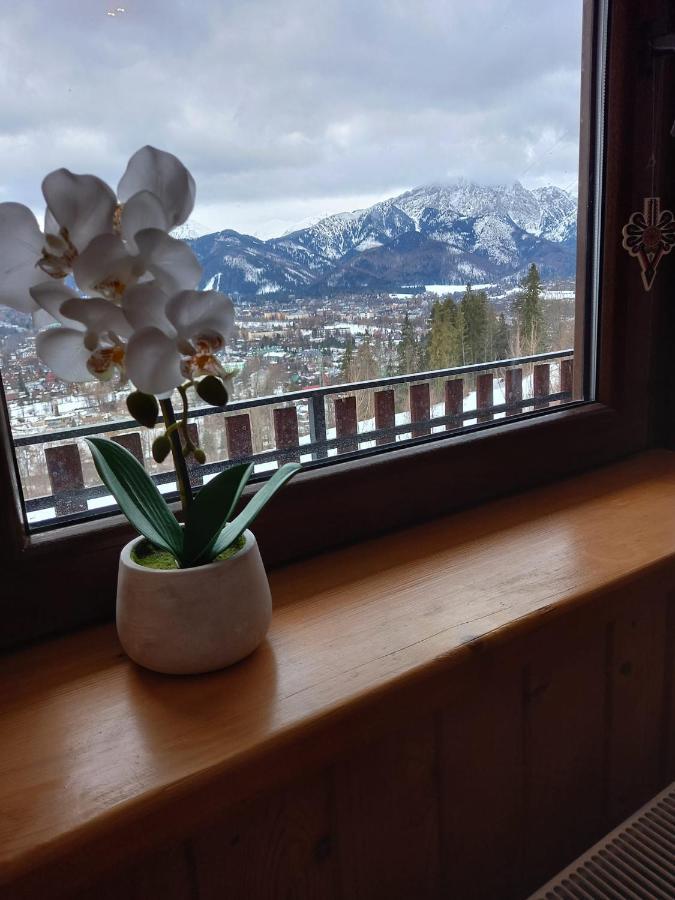 Niebianska Gran Lägenhet Zakopane Exteriör bild