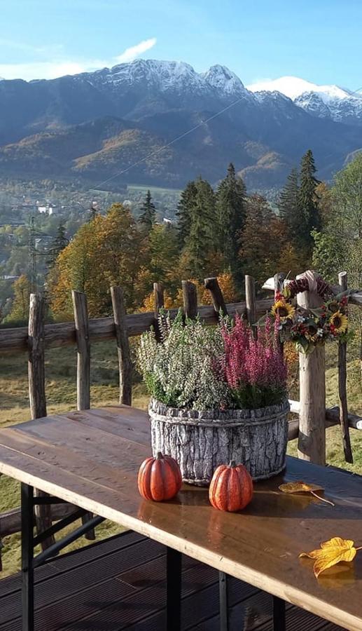 Niebianska Gran Lägenhet Zakopane Exteriör bild